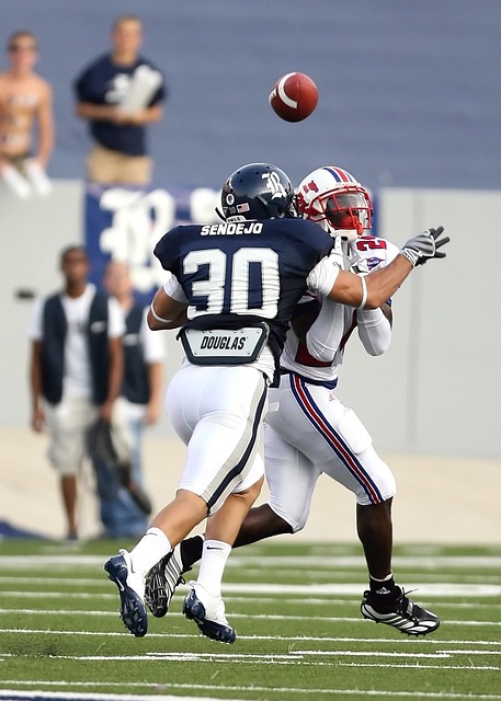 借模式的意 借模式的意